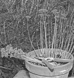 Hans Behr, Gartenpflege
